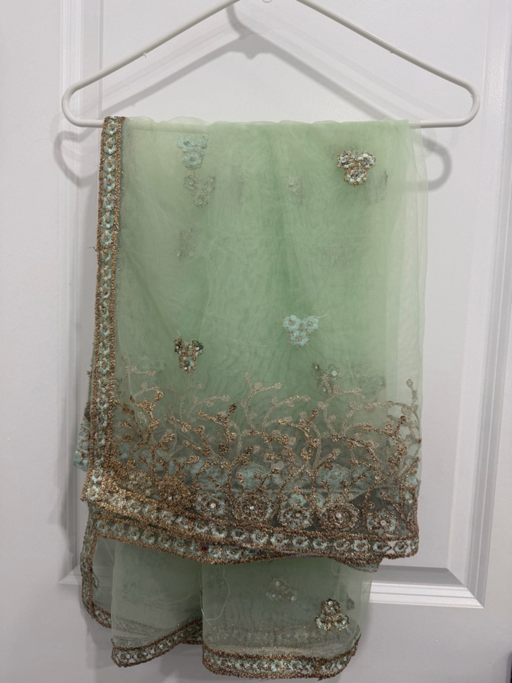 Pakistani Embellished Mint Green Party Dress with Gold Accents - Picture 7 of 7